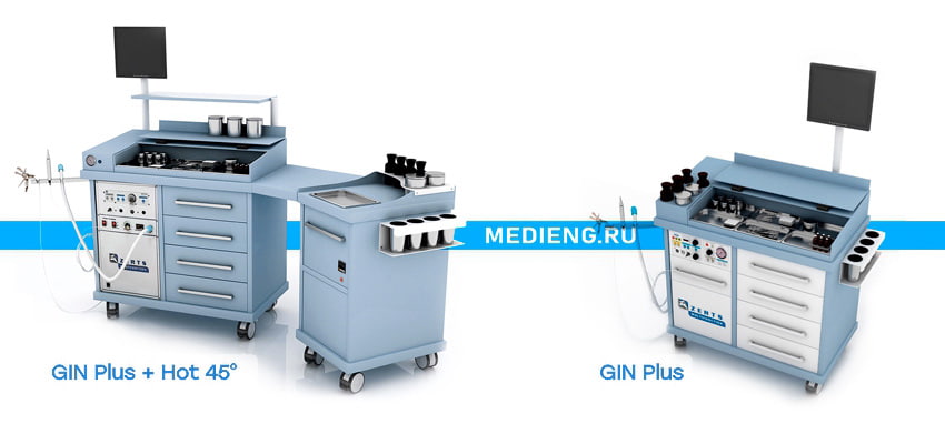 vidy_gin_plus_zerts_medieng